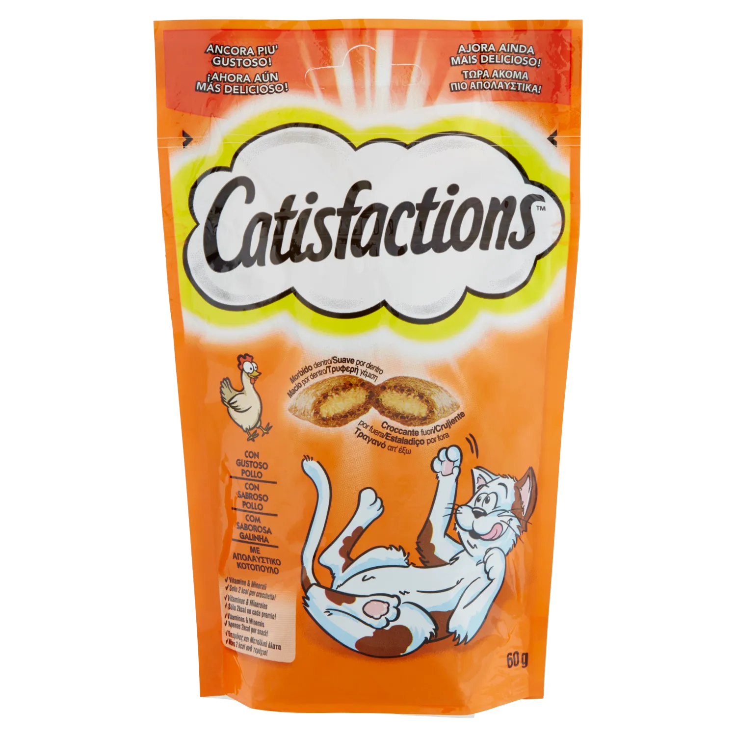 CATISFACTION SNACK POLLO GR 60
