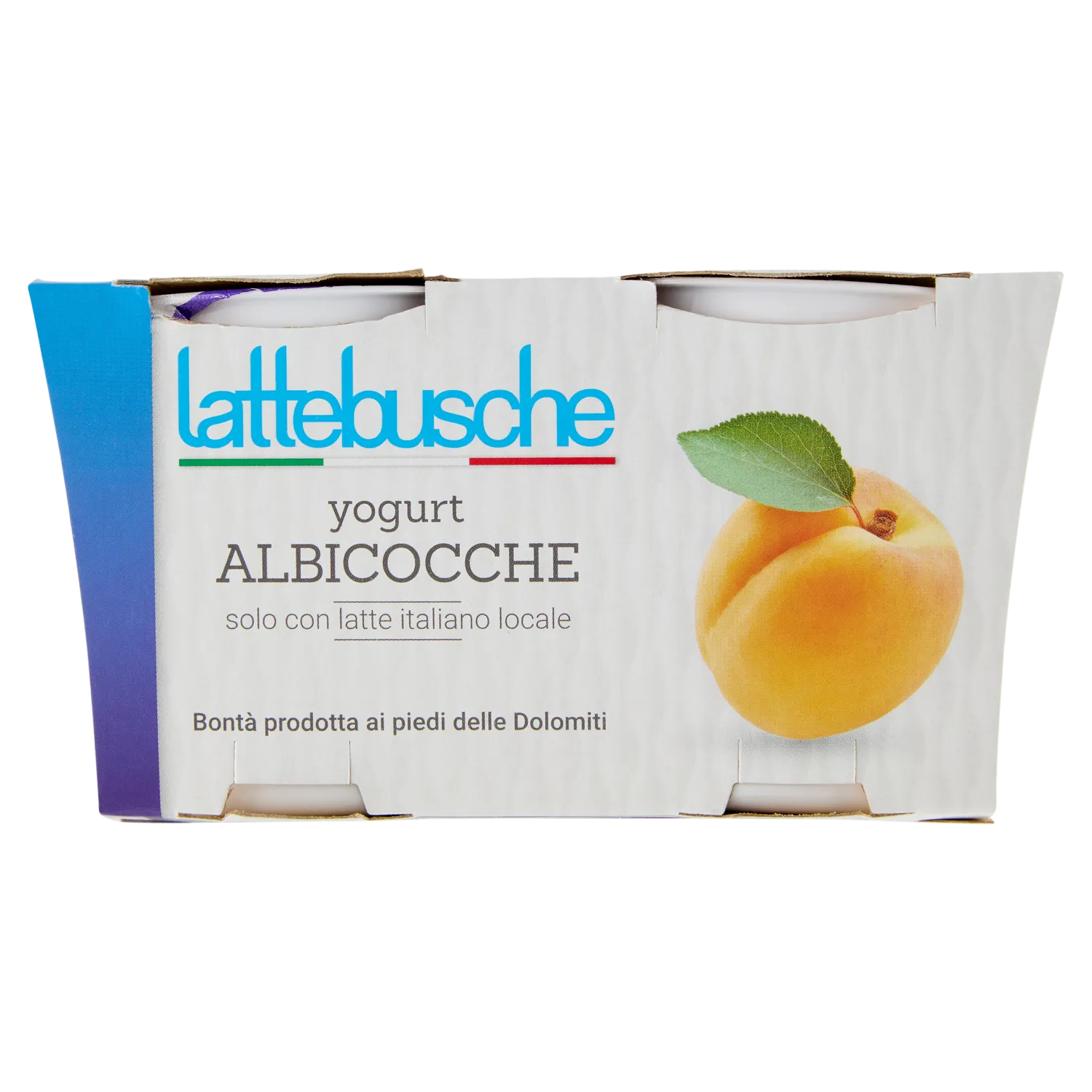 YOGURT LATTEBUSCHE INTERO ALBICOCCA GR 125 X 2 X2
