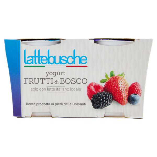 YOGURT LATTEBUSCHE INTERO FRUTTI DI BOSCO GR 125 X 2 X2