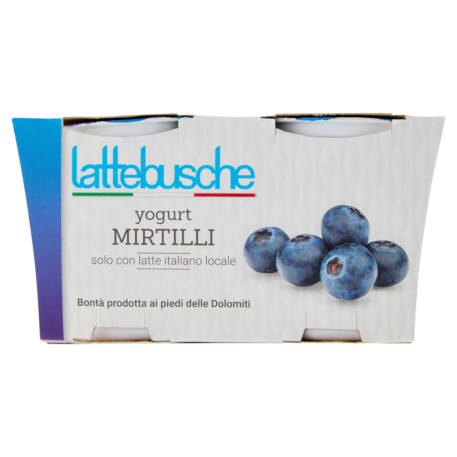 YOGURT LATTEBUSCHE INTERO MIRTILLO GR 125 X 2 X2